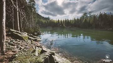 Gameplay Dark Forest Unreal Engine 5.2  Lumen Nanite Quixel