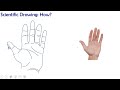 The Art And Science Of Scientific Drawing Techniques
