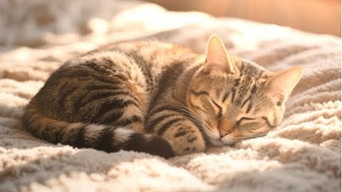 Quiet Moments Gentle Dreams (your original — already beautiful!)