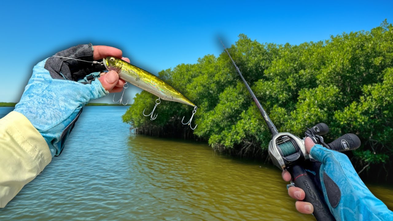 Podré pescar PARGOS DE ESTERO con técnicas de lobina!?