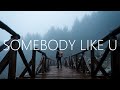 Alan Walker &amp; Au/Ra - Somebody Like U (Lyrics)