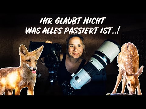 Wilde Begegnungen und magische Momente | Ungarn Wildlife Vlog mit OM SYSTEM