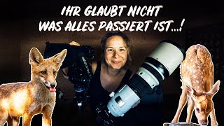 Wilde Begegnungen und magische Momente | Ungarn Wildlife Vlog mit OM SYSTEM