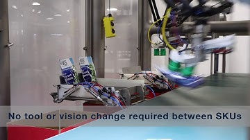 Vertical Case Packing of Flexible Bags | JLS Automation