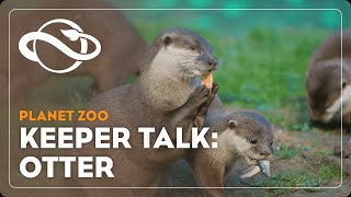 Planet Zoo | Keeper Talk | Asian SmallClawed Otter