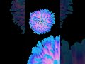 Organic abstract animation made with Blender [Full tutorial in the description] #blender #tutorial