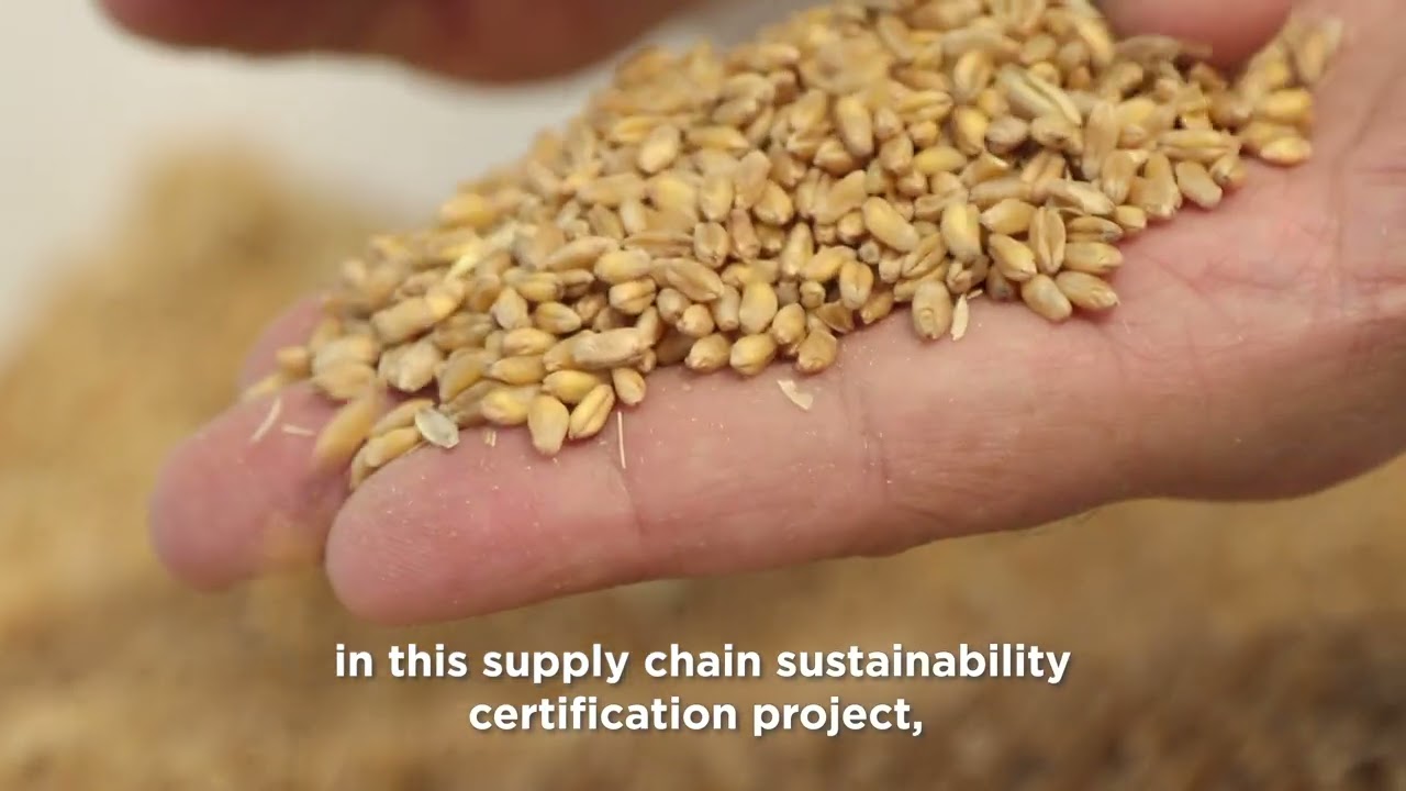 PANE FRESCO FORTE DA FILIERA SOSTENIBILE CERTIFICATA