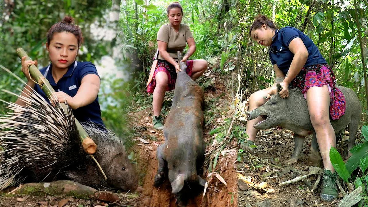 超級妹子為了養家糊口，竟然獨自在深山捕捉野豬馴養野豬，更有極品豪豬以及山雞火雞，吃的那叫一個爽啊！
