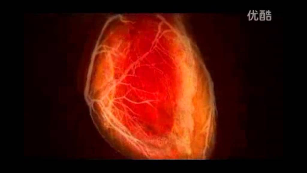 2013 anti-bullying campaign tailor - words kill bully