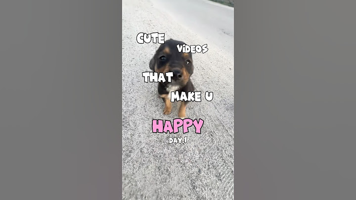 You won’t believe what these dogs did! So CUTE!💖