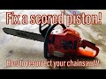 How to fix a scored (blown) chainsaw and install a new piston. Step by step on “the lemon” saw!!!