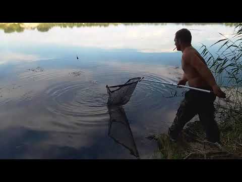 Video: Pescuitul Anghilelor - Câteva Sfaturi Utile