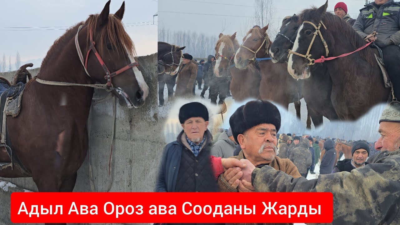 Пай пай  Ноокат  Арал  ЖЫЛКЫ Базары Укмуш Кызыды 