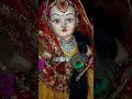 param dhan radha radha radha radha ||🌹🌹🦚vrindavan barsane status 🌹radhika kishori short video