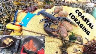 FORAGED LOBSTER & ABALONE - Epic Beach Cook ! Garlic Steamed Lobster / Fried Abalone