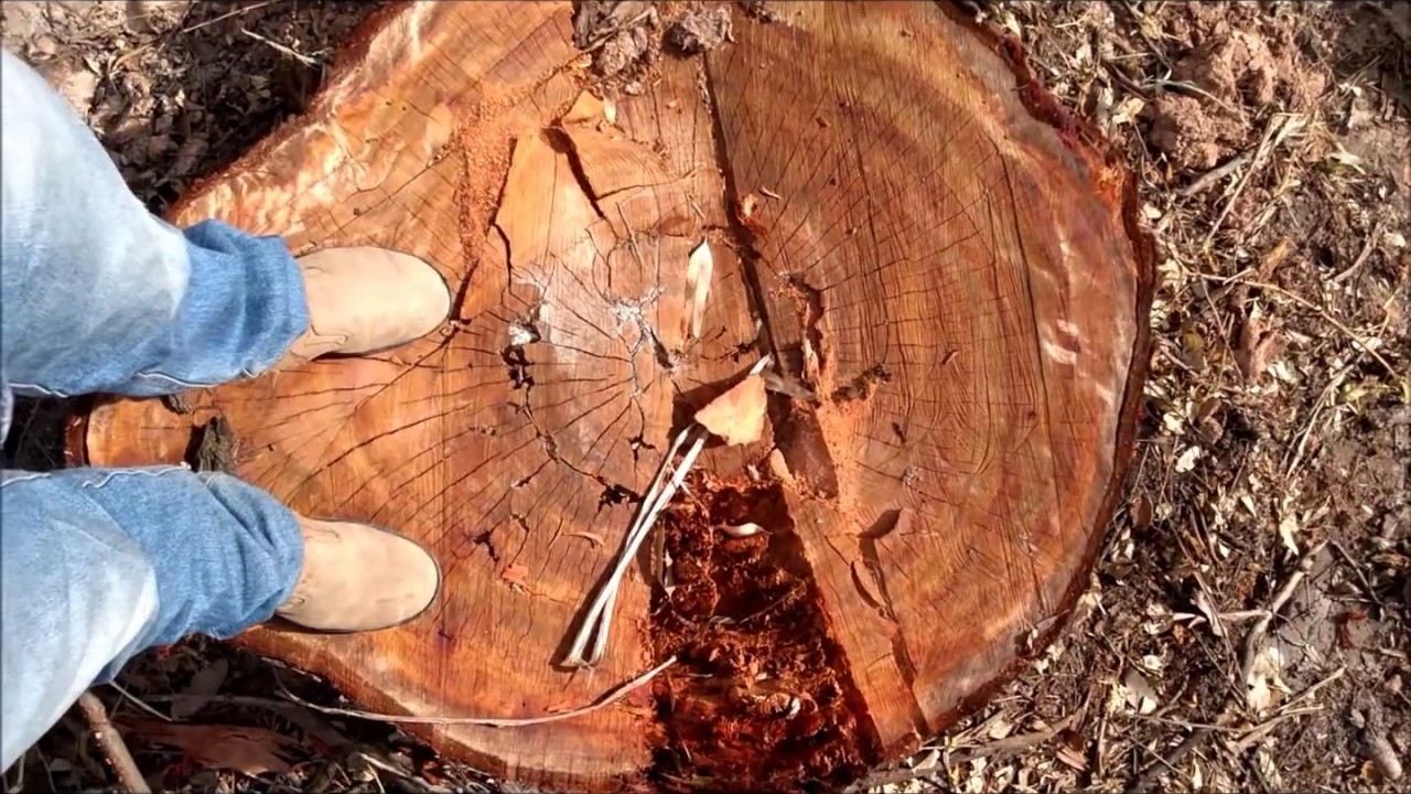 Parque Felisberto Neves, Betim/MG - Degradação