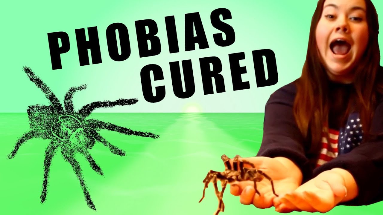 Spider Phobia Cured Documentary