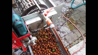 Walnüsse Waschen Wk250 Cleaning And Washing Walnuts Waschmaschine, Kalibriermaschine Nüsse