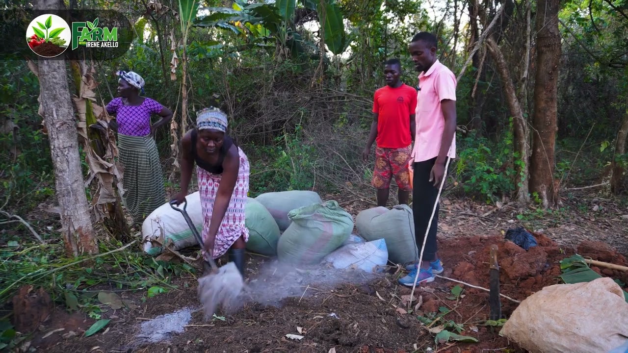 How to make organic manure (COMPOST)