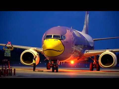 วีดีโอ: นกและเครื่องบิน