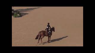 Sofia -Equestrian Edit