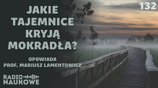 Mokradła, bagna, torfowiska - portale między przeszłością a przyszłością | prof. Mariusz Lamentowicz