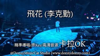 飛花 (李克勤) - 卡拉OK (精準導唱/原Key/高清音源)