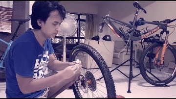 Rimpact Installation