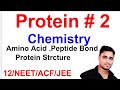Protein ! Biomolecules!12th chemistry हिंदी में