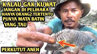 lepaskan aja bro.!! perkutut sial hanya orang