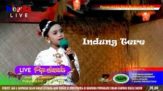 Indung Tere - Aurel Fairuz