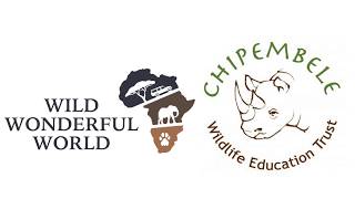 Chipembele Conservation Club by Wild Wonderful World 911 views 6 years ago 4 minutes, 37 seconds