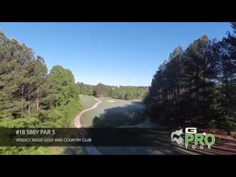 lynne stewart verdict ridge