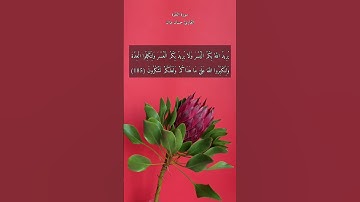 آية "شهر رمضان الذي أنزل فيه القرآن هدى للناس" من سورة البقرة | اللهم أنزل علينا من بركاتك وفضلك