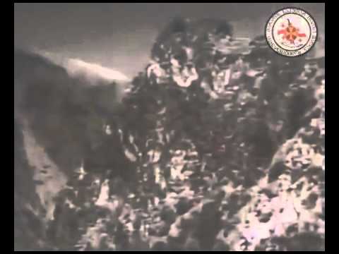 ძველი კადრები.დავითფერული