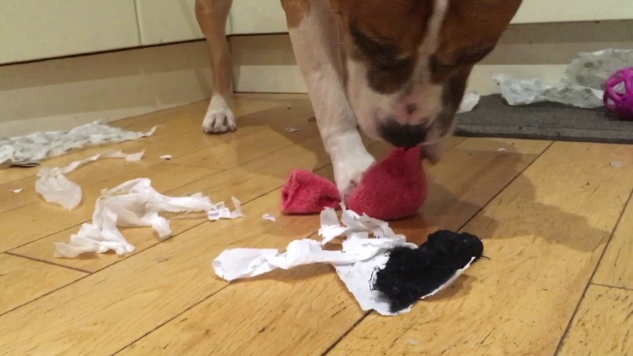 Ball in a sock - YouTube
