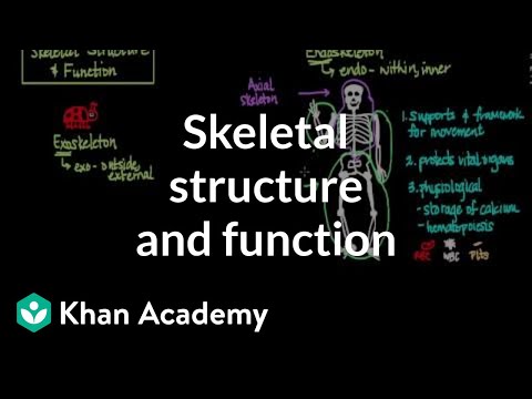 Skeletal structure and function | Muscular-skeletal system physiology | NCLEX-RN | Khan Academy