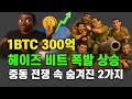 전쟁 악재 속 대형 호재  #시바이누 #비트코인 #리플 #스텔라 #에이다