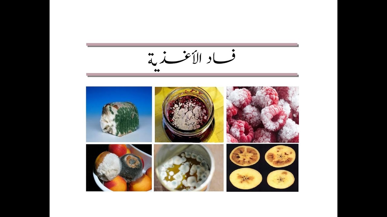 مبادىء الصناعات الغذائية - المحاضرة 6 فساد الأغذية