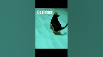 When Programmers Realize Everybody else is free #software #shorts #technology #programming #memes