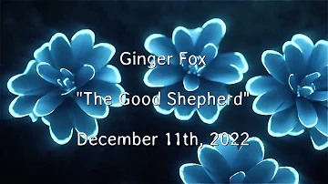 2022 12 11 Ginger Fox 'The Good Shepherd'
