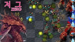 오직 히드라 물량만! 폭풍 저그! 홍진호가 간다!? 스타크래프트 리마스터 빨무 빠른무한 빠무 팀플 저그 (Zerg)