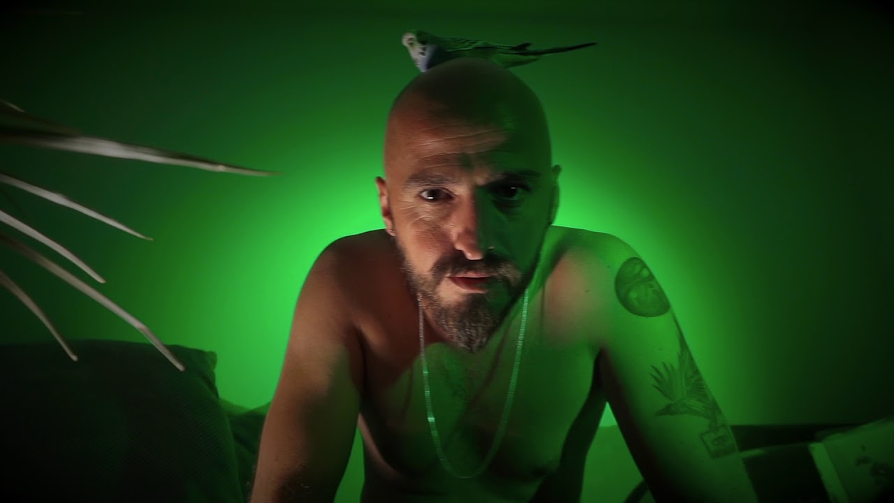 Taste-JOMLODH' (plus18)