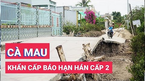 Cà Mau công bố khẩn cấp hạn hán cấp 2