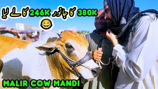 Behtreen SODA at Malir Cow Mandi | Cattle Market Karachi | Bakra Eid 2024