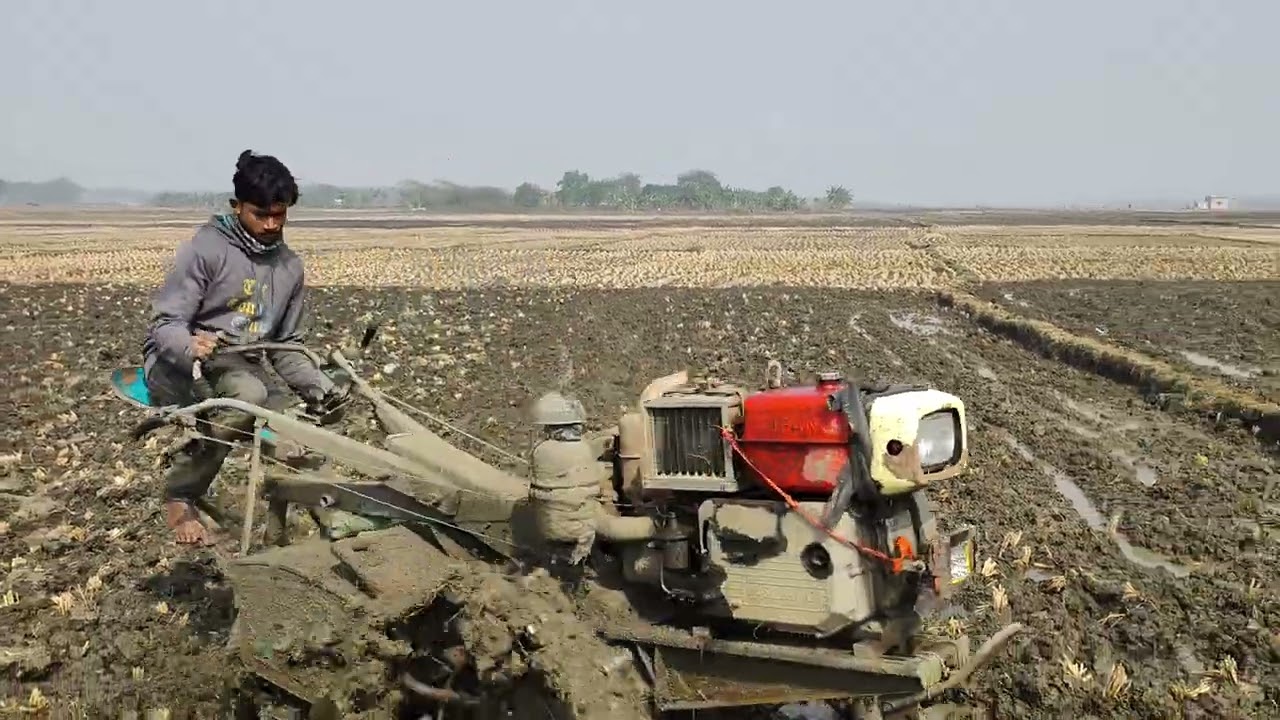 ​ধান লাগানোর জন্য জমি তৈরি করার সঠিক নিয়ম: পাওয়ার টিলার দিয়ে চাষ। 