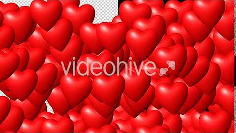 Flying Heart Transition | Motion Graphics - Envato elements