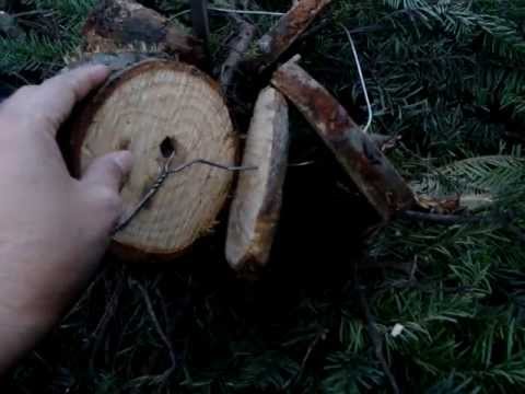 DIY Upside Down Fresh Pine Christmas Tree