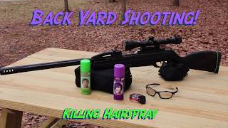 Gamo Swarm Maxxim, Backyard Hunting Or Backyard Shooting