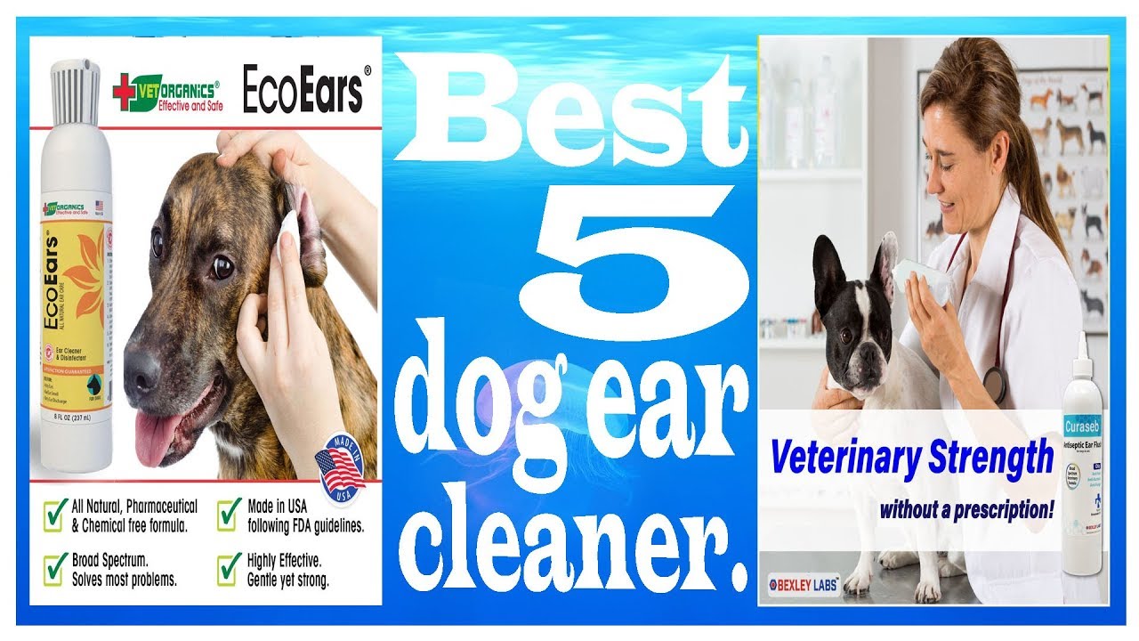 Best 5 dog ear cleaner dog ear cleaner best dog ear cleaner 2019